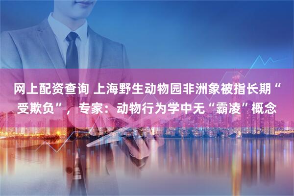 网上配资查询 上海野生动物园非洲象被指长期“受欺负”，专家：动物行为学中无“霸凌”概念