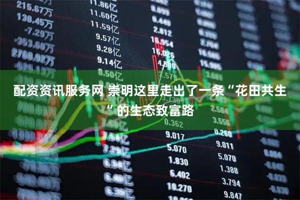 配资资讯服务网 崇明这里走出了一条“花田共生”的生态致富路