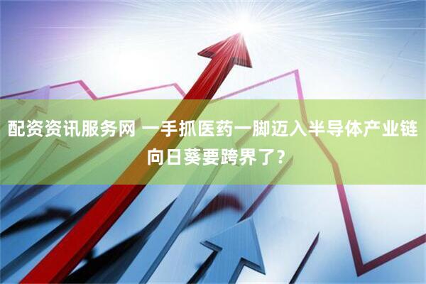 配资资讯服务网 一手抓医药一脚迈入半导体产业链 向日葵要跨界了？