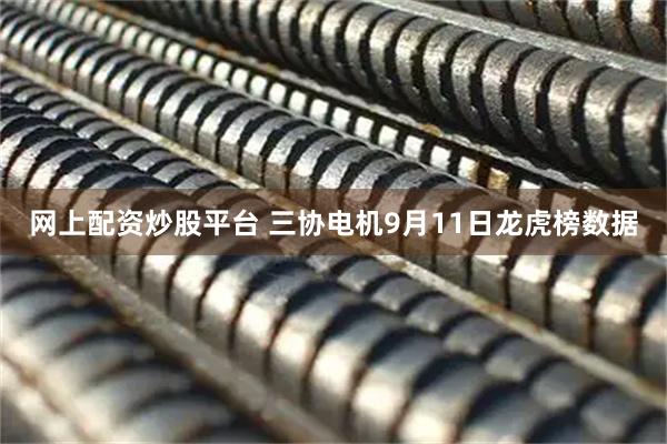 网上配资炒股平台 三协电机9月11日龙虎榜数据