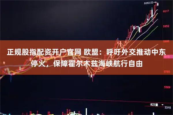 正规股指配资开户官网 欧盟：呼吁外交推动中东停火，保障霍尔木兹海峡航行自由